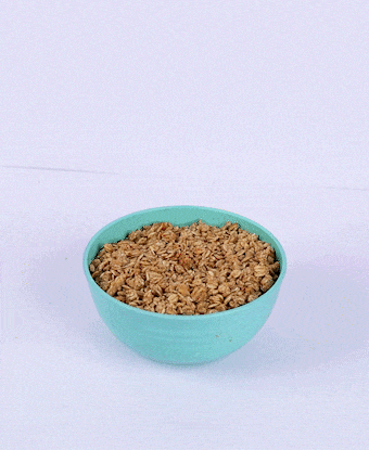 Nutritious oats ready for a healthy meal
