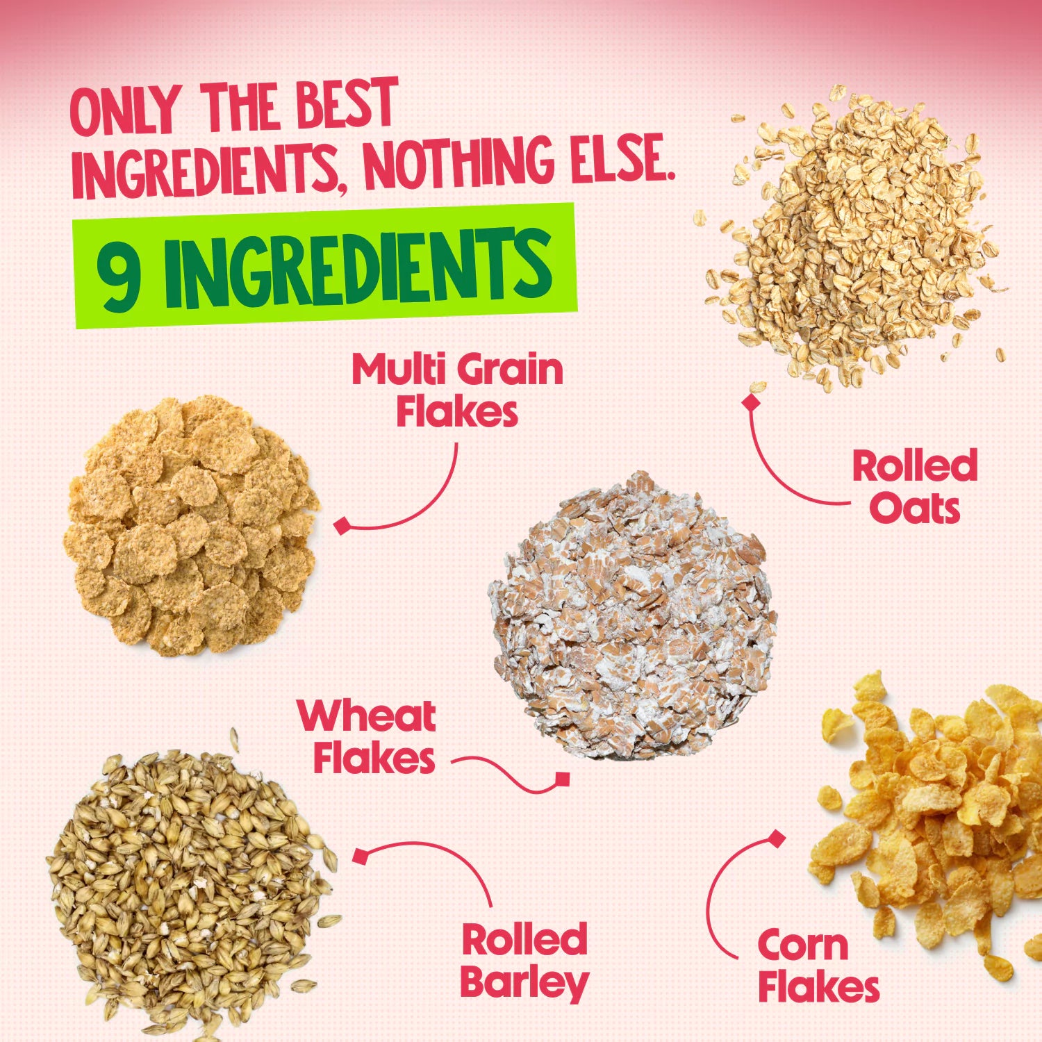 Nutritious Blend of Rolled Oats, Wheat Flakes, and Multigrain