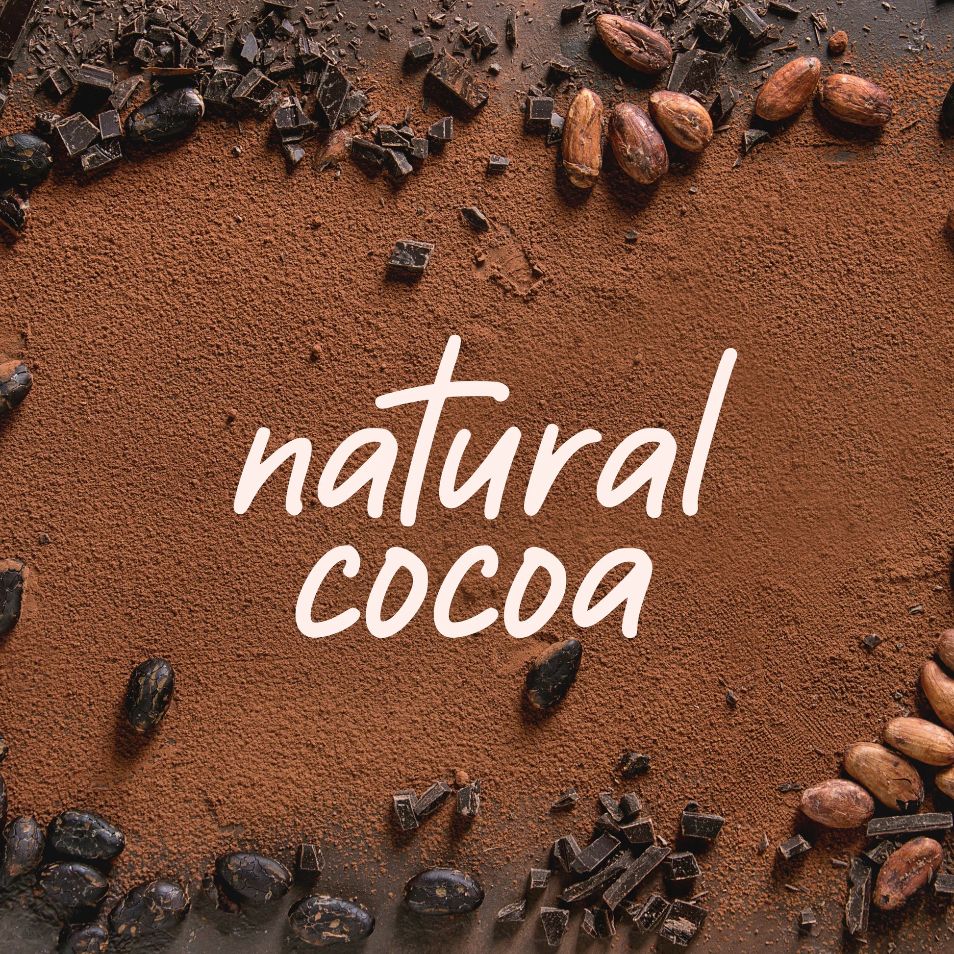 Plant protein powder in India with Natural Cocoa