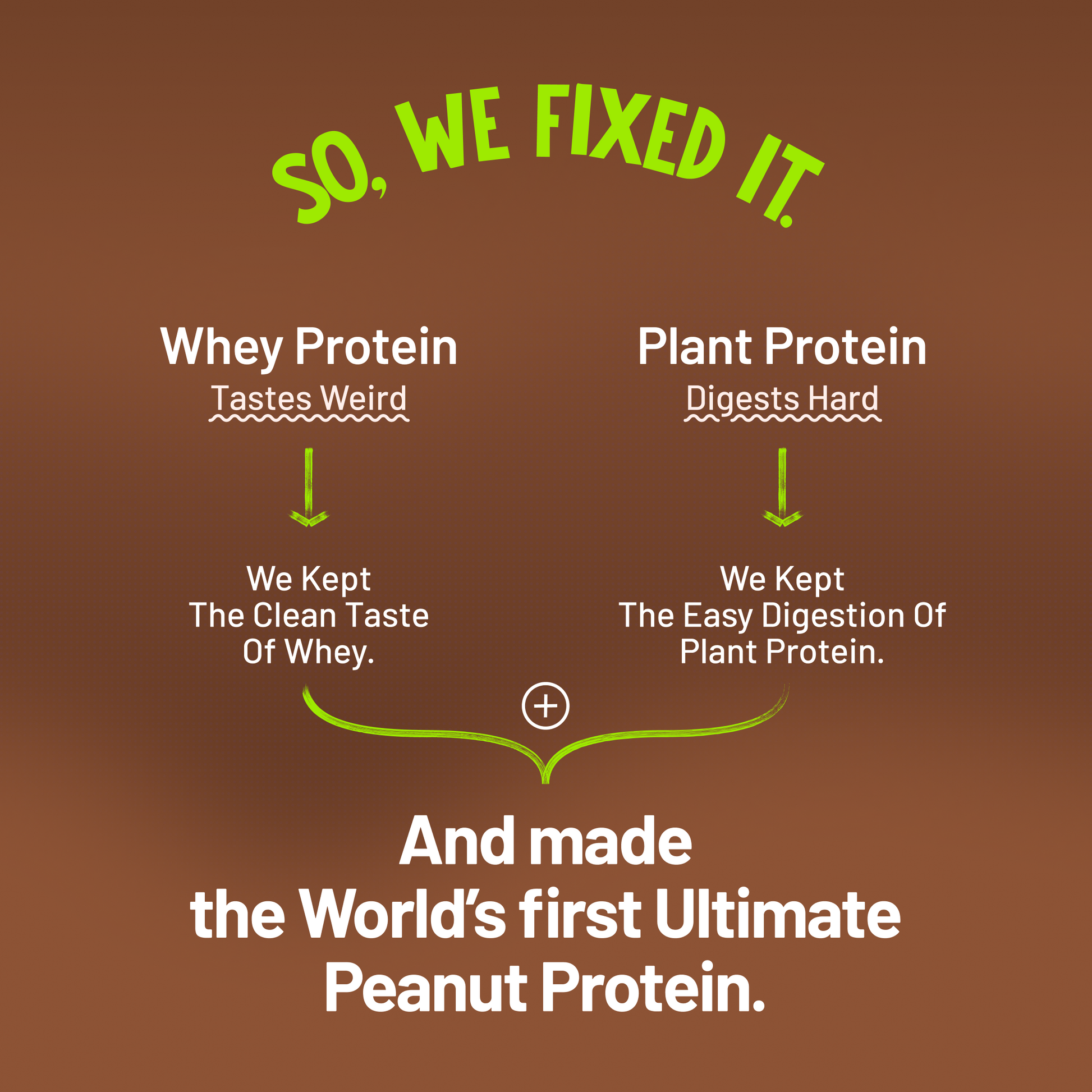 Alpino Fixes Protein Issues – Clean Taste with Easy Digestion