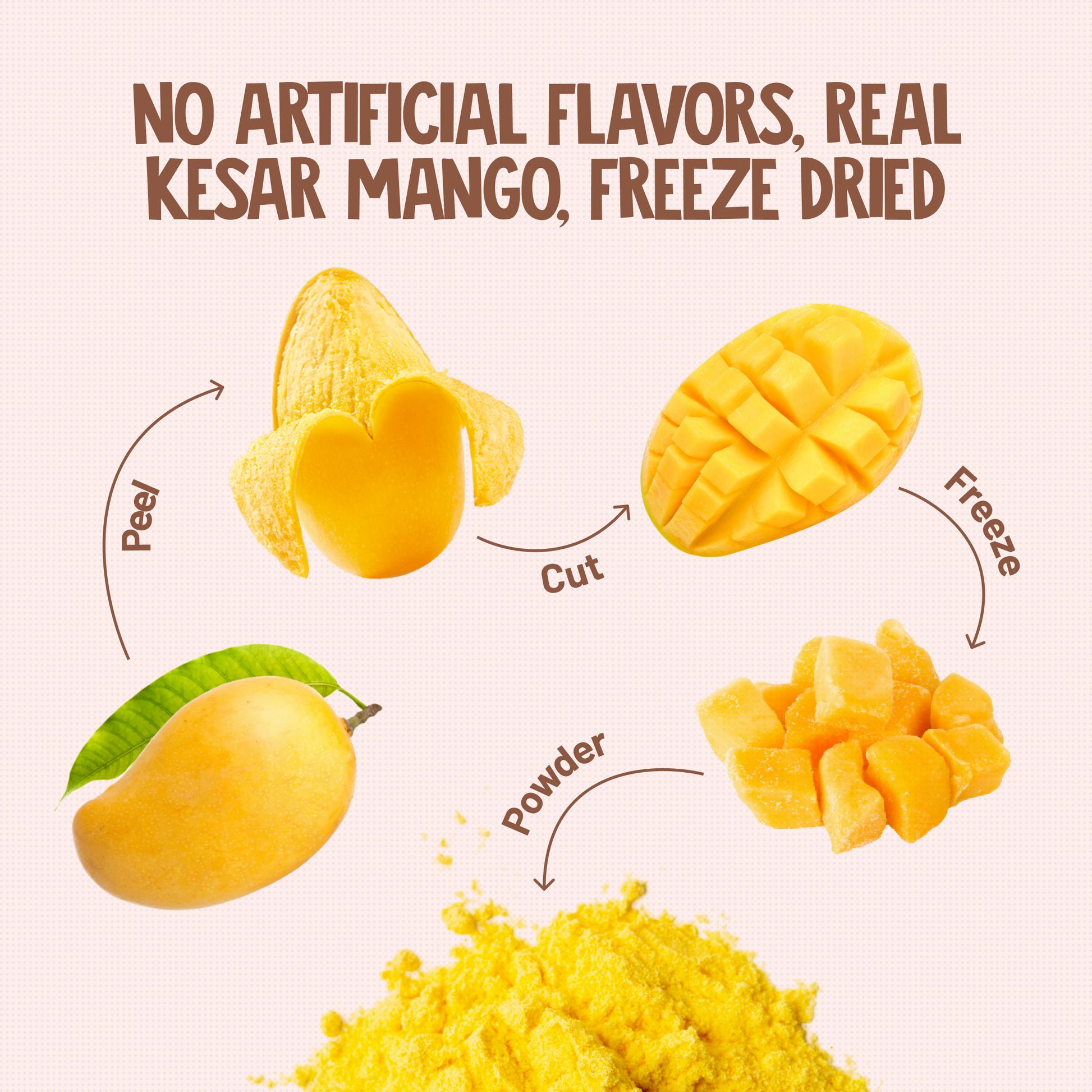No Artificial Flavors, Real Kesar Mango, Freeze Dried