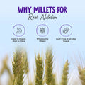 Alpino Chocolate Protein Bar made with millets for gut health