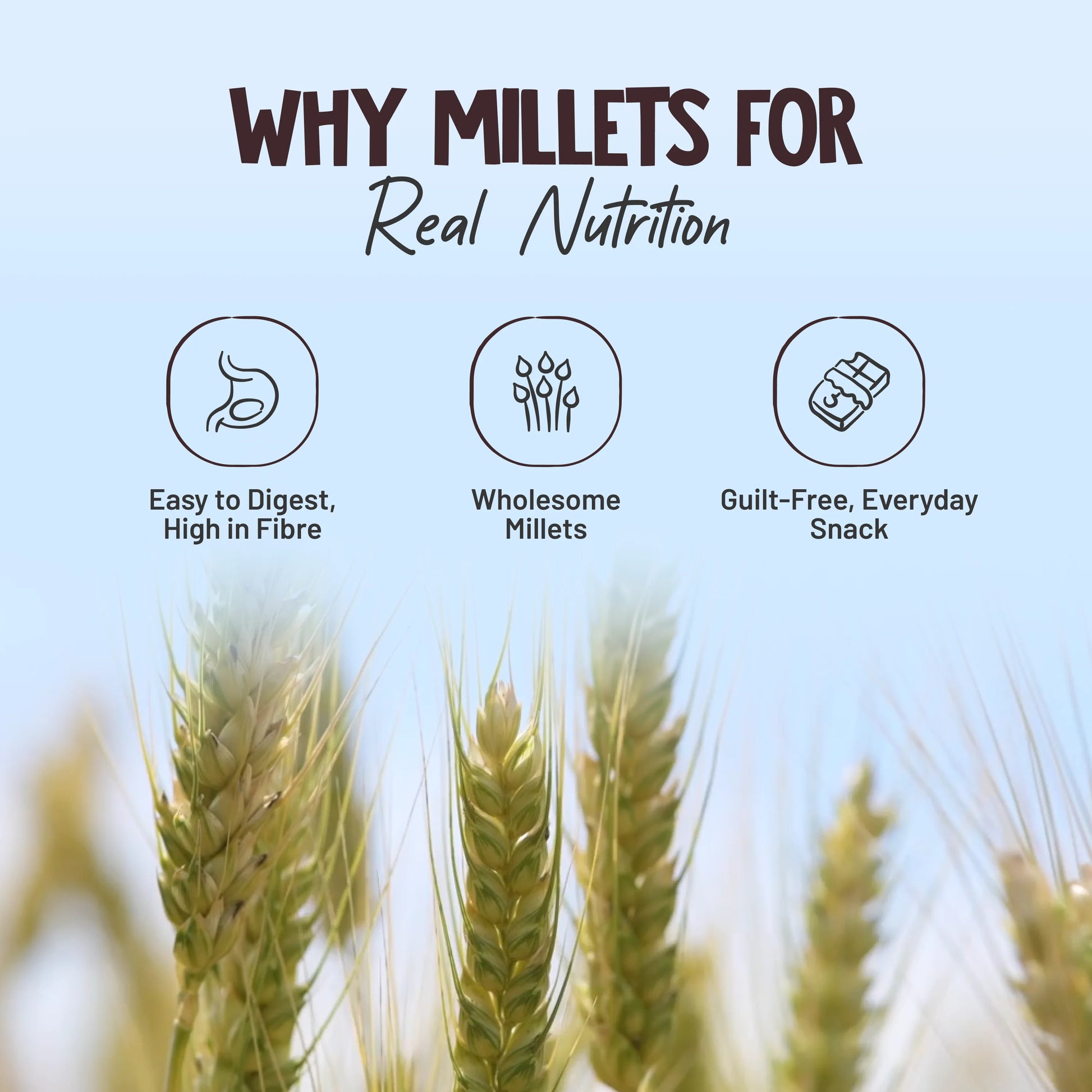 Alpino Coffee Protein Bar made up of millets for healthy gut