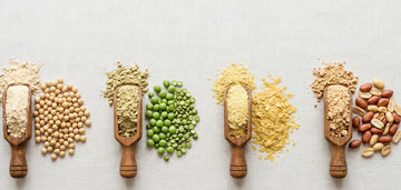 Soy vs Pea vs Yeast vs Peanut Protein