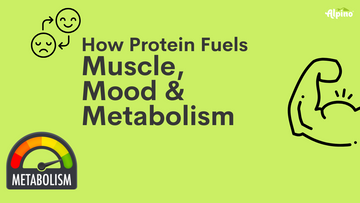 How Protein Impacts Muscle, Mood, and Metabolism: What You Need to Know