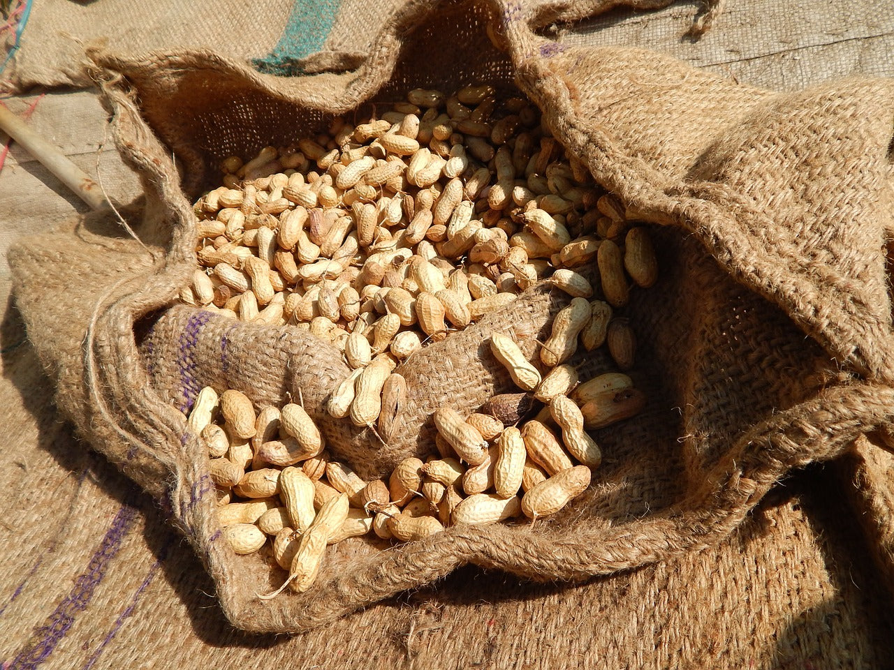 India and the love for peanuts in India