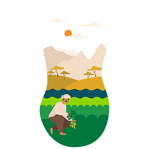 alpino